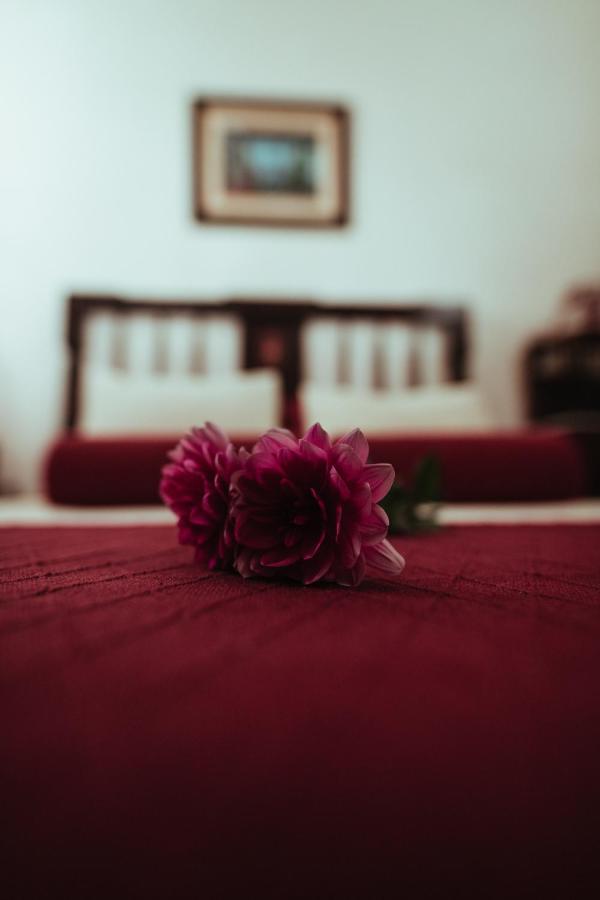 Villa Los Hinojales ลอส ซิลอส ภายนอก รูปภาพ